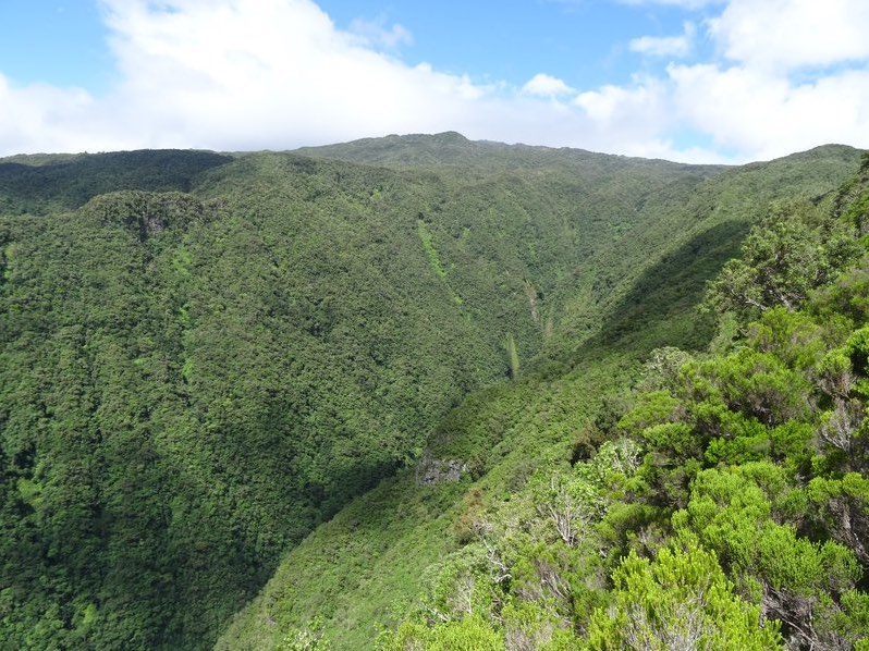 Point De Vue Du Morne Saint François Carte De La Réunion